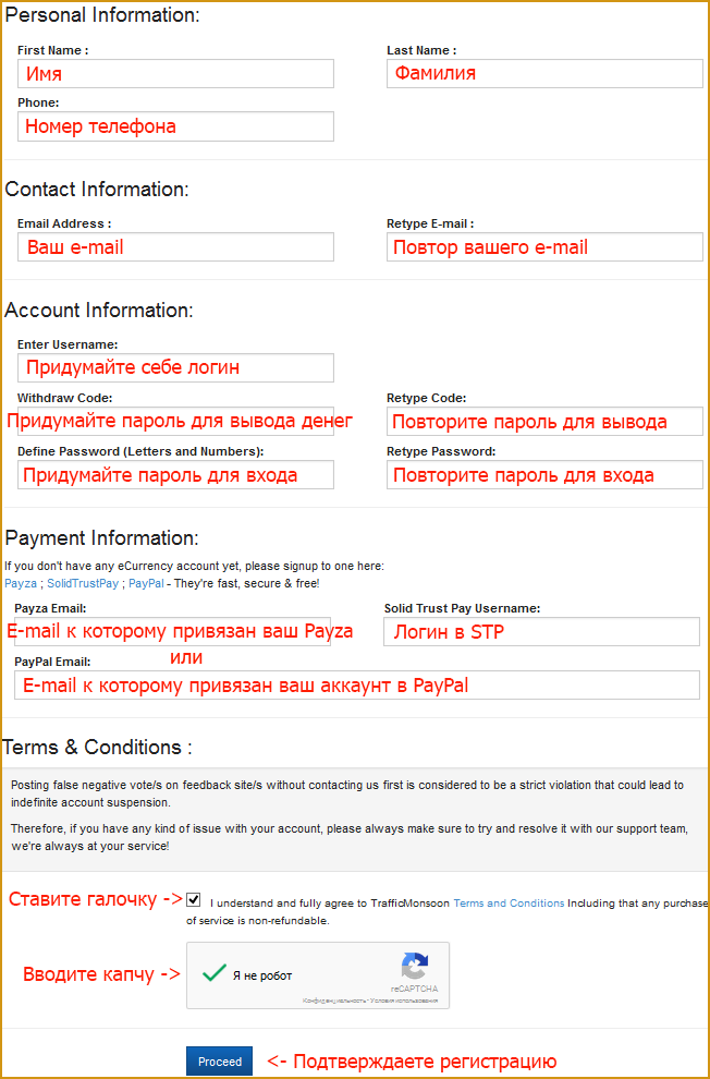 Заполнение регистрационной формы на Trafficmonsoon