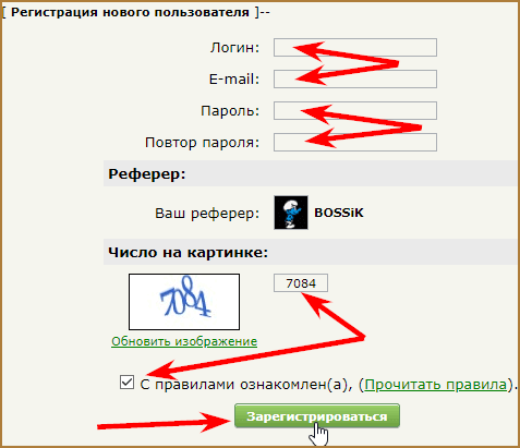 Как заработать на Web-IP.ru: обзор букса и всех доступных на нем способов заработка + советы по повышению дохода