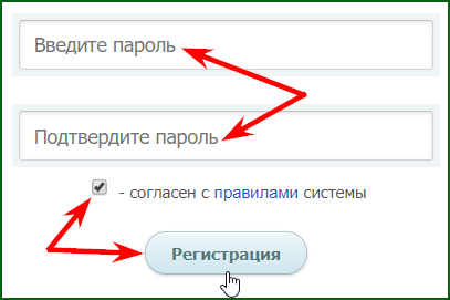 установка пароля и завершение регистрации на WMRFast