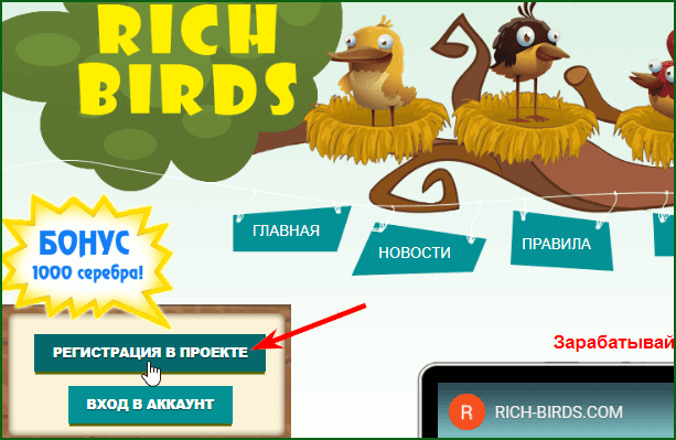 Регистрация в игре Rich Birds шаг 1