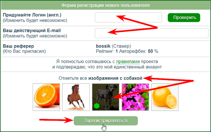 регистрация на буксе Seoclub шаг 2