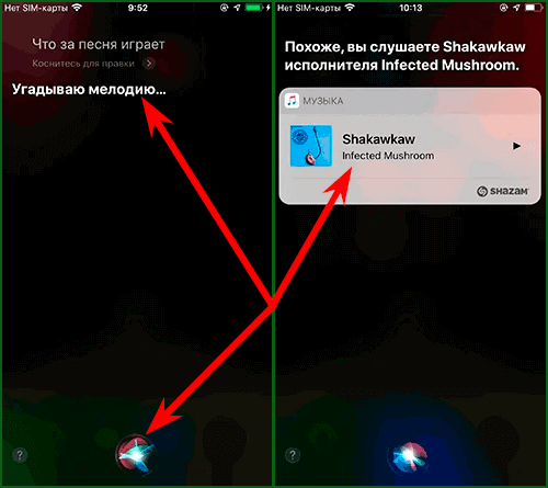 распознавание музыки через Siri на iPhone